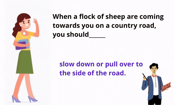 20 Copie des cartes flash sri (38)