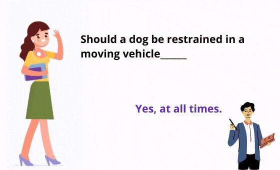 22 Copie des cartes flash sri (40)