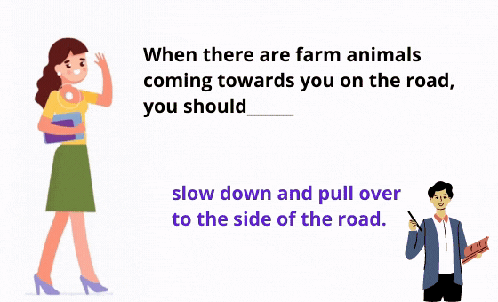 8 Copie des cartes flash sri (26)